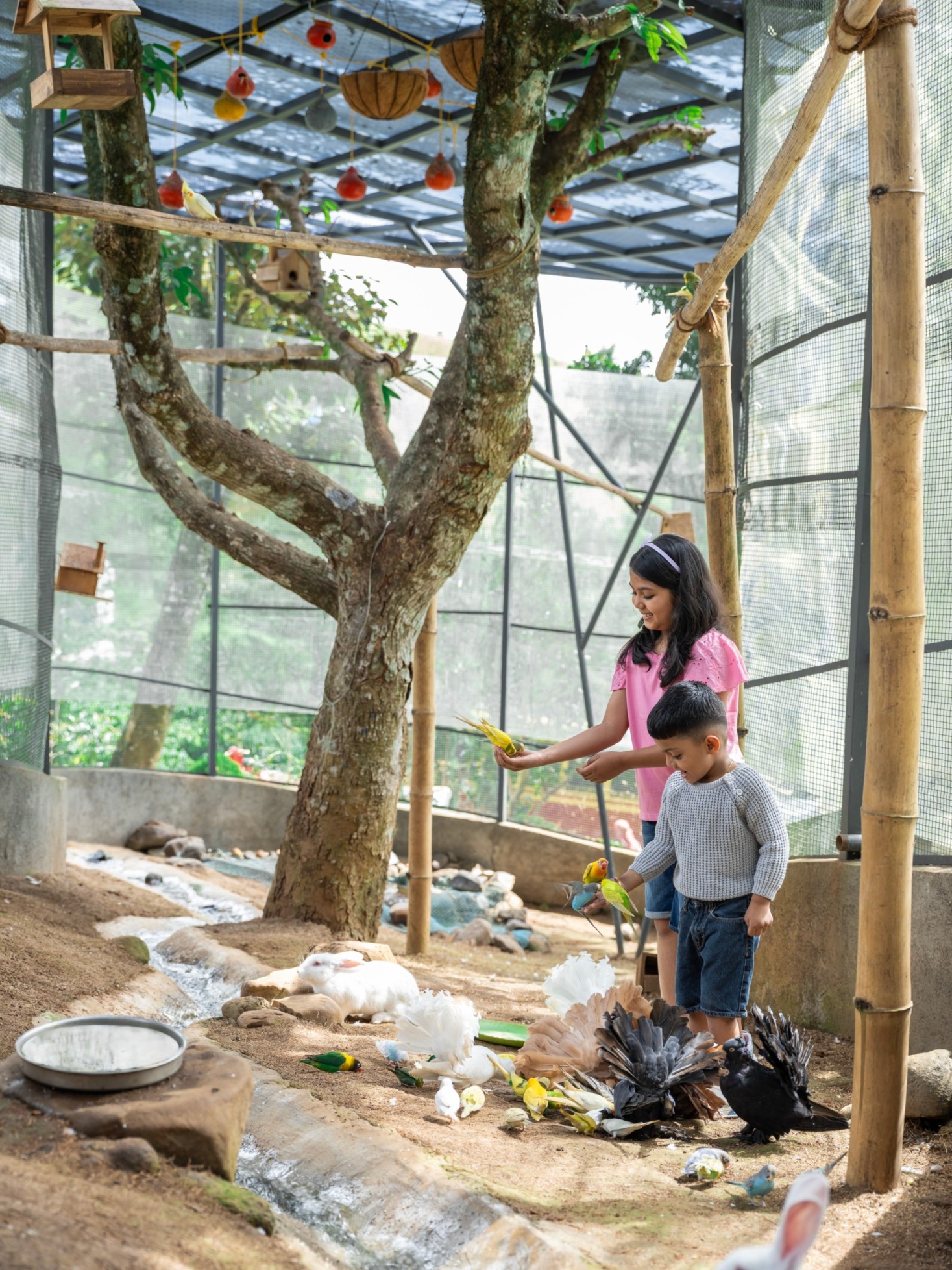 Bird and Animal Park at Vanani